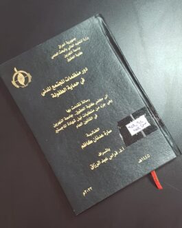 دور منظمات المجتمع المدني في حماية الطفولة