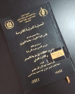 الحماية الدولية للأمومة